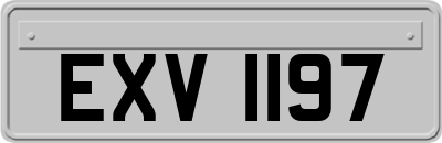 EXV1197