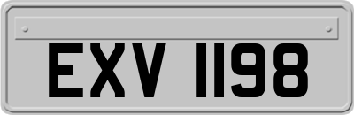 EXV1198