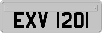 EXV1201