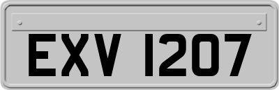 EXV1207