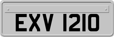 EXV1210