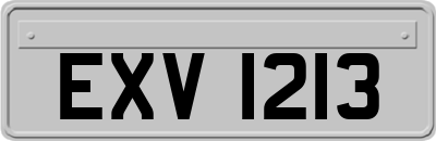 EXV1213