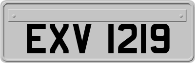 EXV1219
