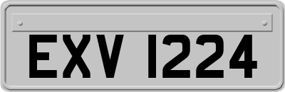 EXV1224