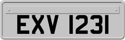 EXV1231