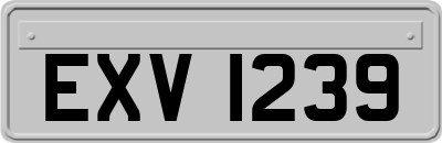 EXV1239