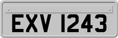 EXV1243