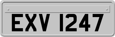 EXV1247