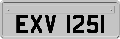 EXV1251