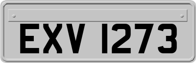 EXV1273