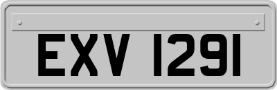 EXV1291