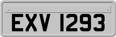 EXV1293