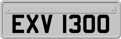 EXV1300