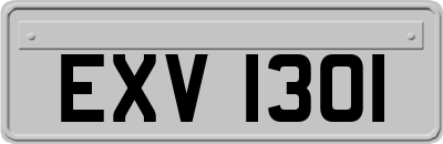 EXV1301