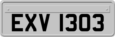 EXV1303