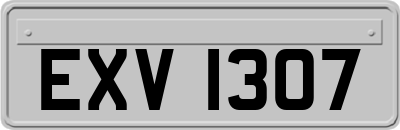 EXV1307