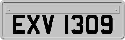 EXV1309