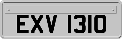 EXV1310