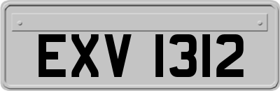 EXV1312
