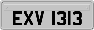 EXV1313