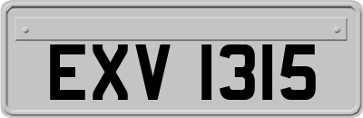 EXV1315
