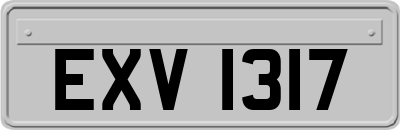 EXV1317