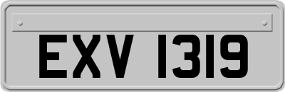 EXV1319
