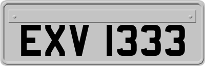 EXV1333