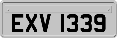 EXV1339