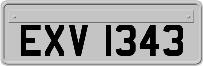 EXV1343