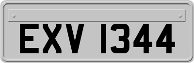 EXV1344