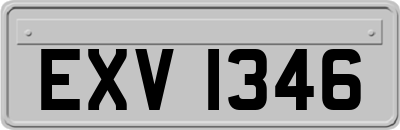 EXV1346