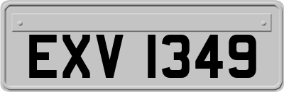 EXV1349