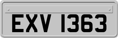 EXV1363