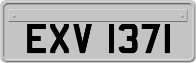 EXV1371