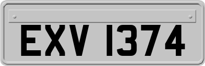 EXV1374