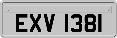 EXV1381