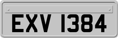 EXV1384