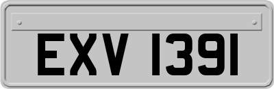 EXV1391