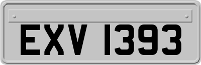 EXV1393