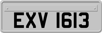 EXV1613