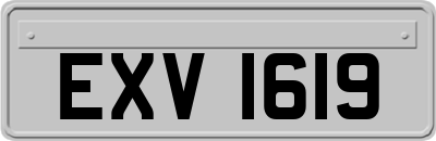 EXV1619