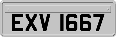 EXV1667