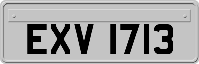EXV1713