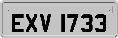 EXV1733