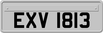 EXV1813