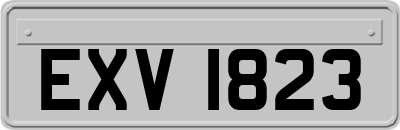 EXV1823