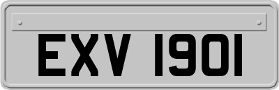 EXV1901