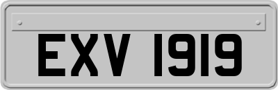 EXV1919