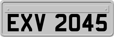 EXV2045